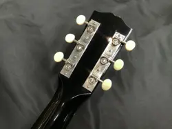 ACOUSTIC GUITAR ELECTRIC