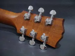 GIBSON G-WRITER EC SAFE DELIVERY FROM JAPAN