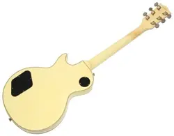 WITH GIBSON USA