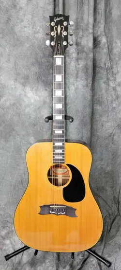 ACOUSTIC GUITAR!