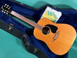 GIBSON WM-45