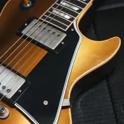 DG DARK BACK