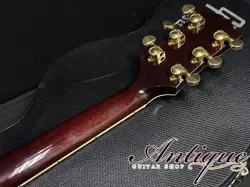 SG CLASSIC CUSTOM