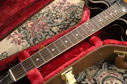 ES-335 BURST