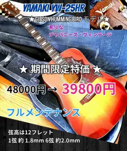 GIBSON HUMMINGBIRD MODEL YAMAKI YW-25HR