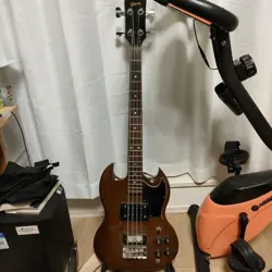 CASE STRAP 