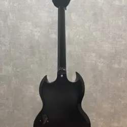SG TRIBUTE 2013