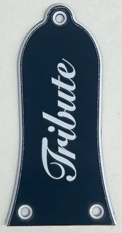 3 PLY BLACK FIT GIBSON EPIPHONE TRUSS ROD COVER PLATE LOGO 3 SCREWS GUITAR PARTS