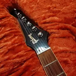 SUNBURST 2013 ELECTRIC