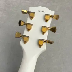 ≒4.56KG