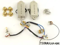GIBSON EPIPHONE CASINO PRO P-90 PICKUPS POTS KNOBS GUITAR CONTROL