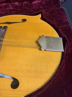 GIBSON F-5