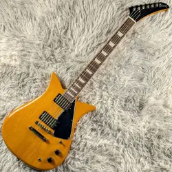 GIBSON THEODORE STANDARD  ACTUAL IMAGE  12 13 UPDATE