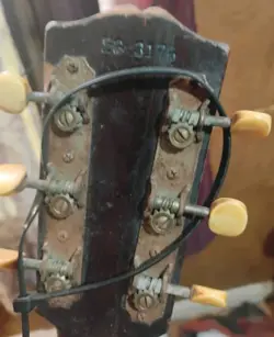 SG3176