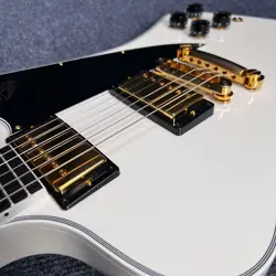 CUSTOM GLOSS POLARIS