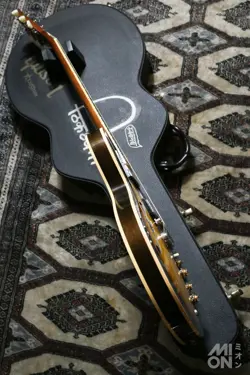 2007 2007