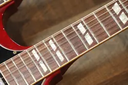 DOUBLE-NECK SG