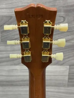 VOS SEMI-HOLLOW ELECTRIC
