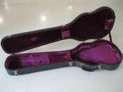 VINTAGE BASS CASE