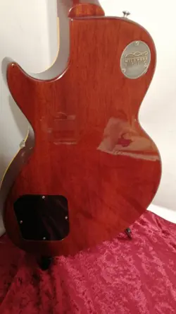 PAUL 2019 ELECTRIC