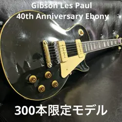 STANDARD LIMITED MODEL