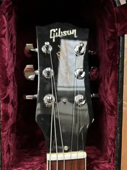 PAUL OXBLOOD VOS