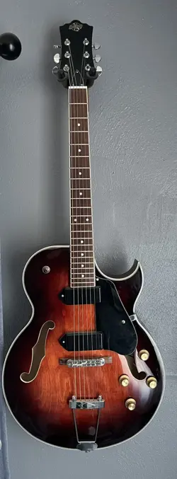 EG-P90 SUNBURST