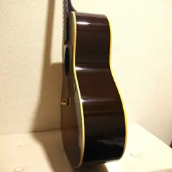 GIBSON L-00 2001