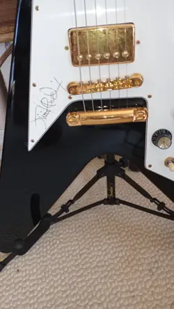 FLYING GUITAR 1993