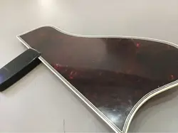CELLULOID TORTOISE