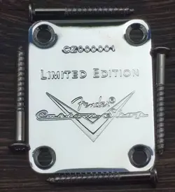 FENDER CUSTOM