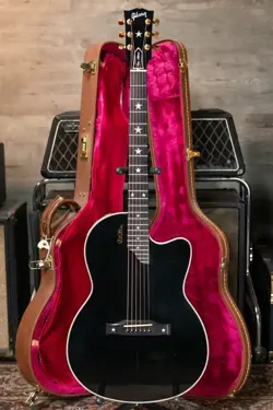 ELECTRIC EBONY