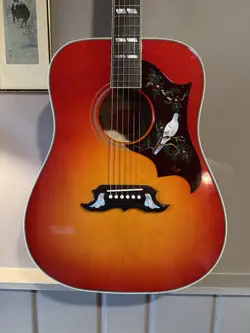 2024 GIBSON DOVE 