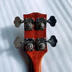 EB-2D ELECTRIC