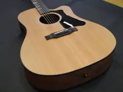 GIBSON G-WRITER EC (2020S)