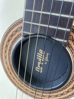 CHET ATKINS MODEL