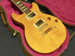 NO.DG873