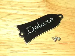 GIBSON 1974 BLACK 3 PLY  THE PAUL TRUSS ROD COVER