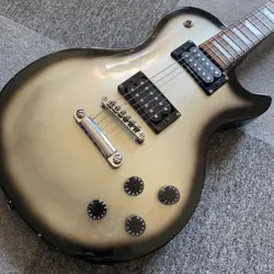 SILVER SUNBURST