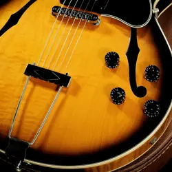 VINTAGE SUNBURST SHIBUYA