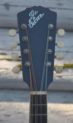 GIBSON A2