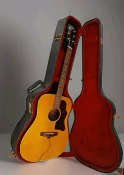 ACOUSTIC GUITAR NEED