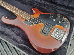 SUNBURST BASS WITH