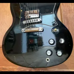 SG STANDARD 2010
