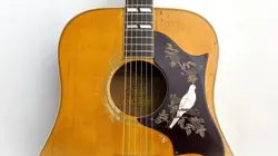 DOVE 1968