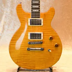 MIDDLE GIBSON LES PAUL STANDARD DC PLUS NO.RG3462