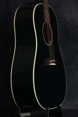 EBONY GLOSS W/HARD