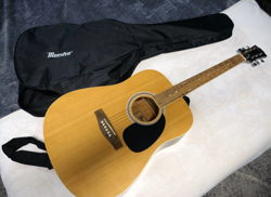 MUSICAL INSTRUMENT ACOUSTIC