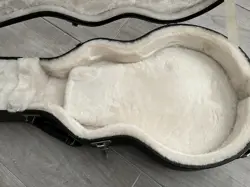 CASE WHITE