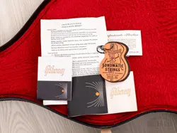 GUITAR COLLECTOR-GRADE W/
